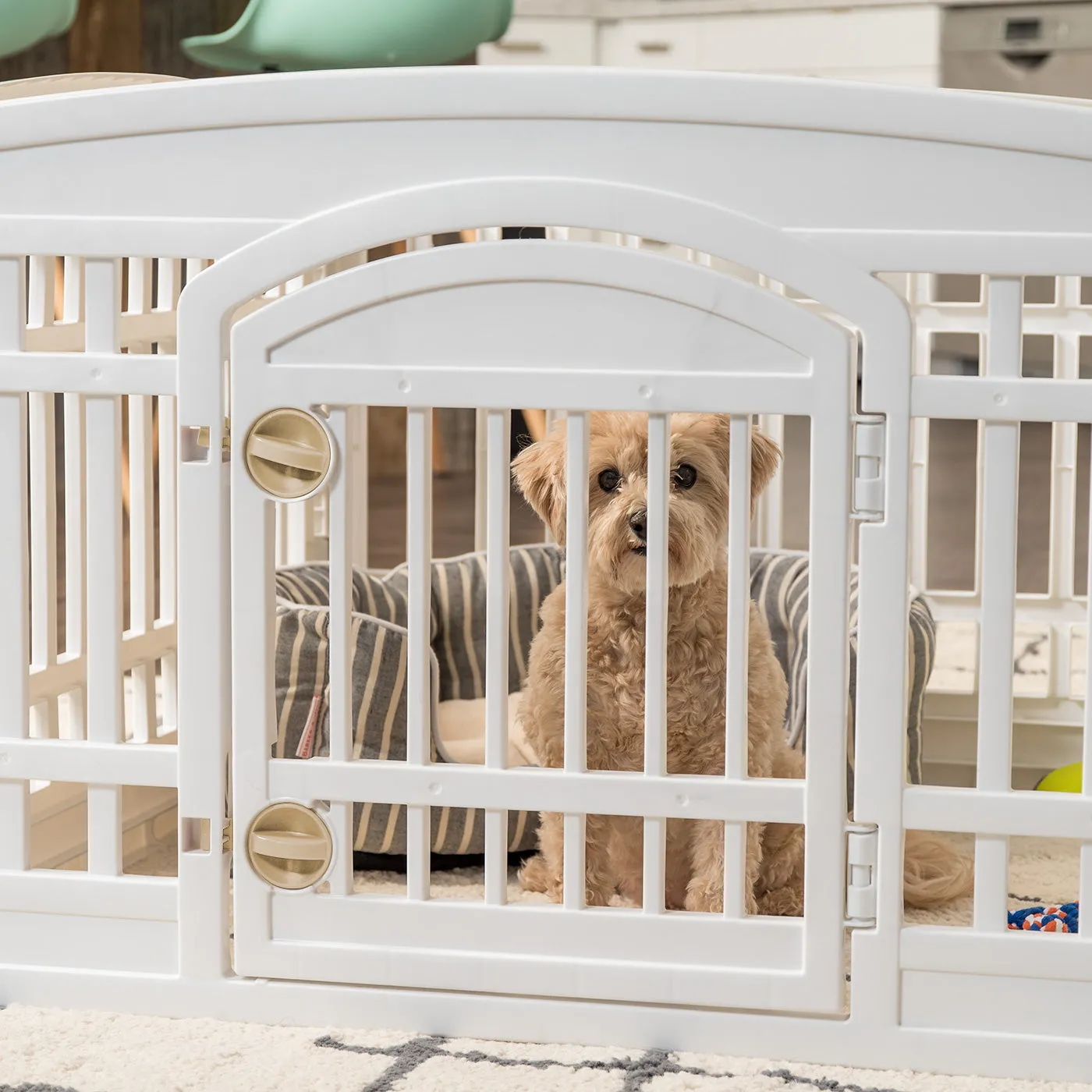 24-inch 6 Panel Exercise Pet Playpen with Door, White