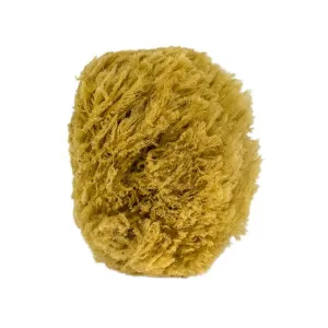 All Natural Sea Sponge