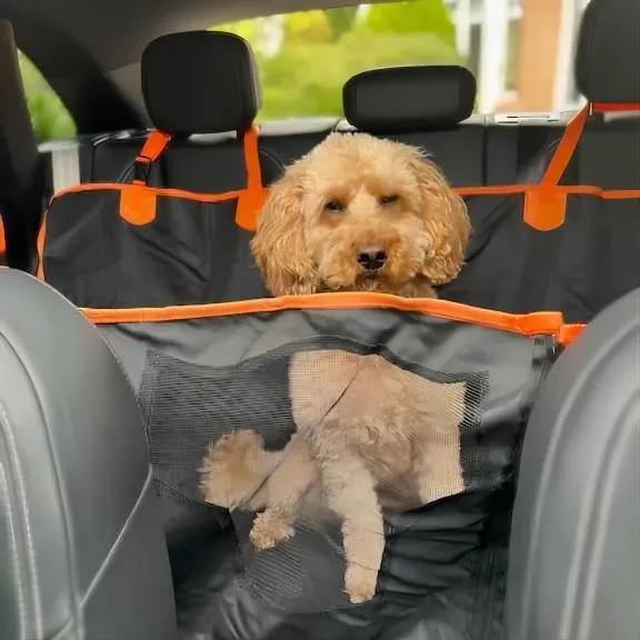 Anti-Anxiety & Car-Sickness Car Dog Car Seat Cover